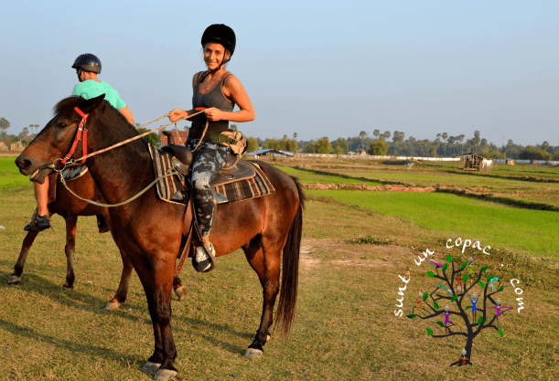 horse_riding