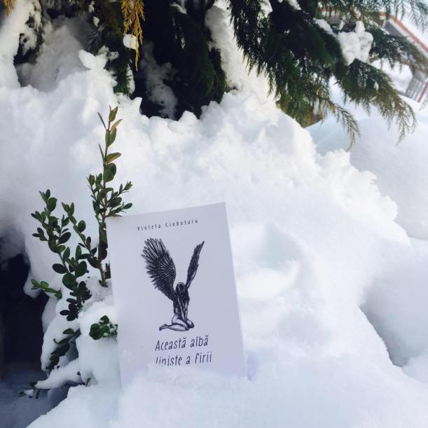 12548922_1547942398857227_2563492752976692101_n